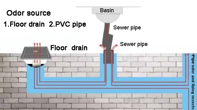 floor drain.jpg floor drain.jpg